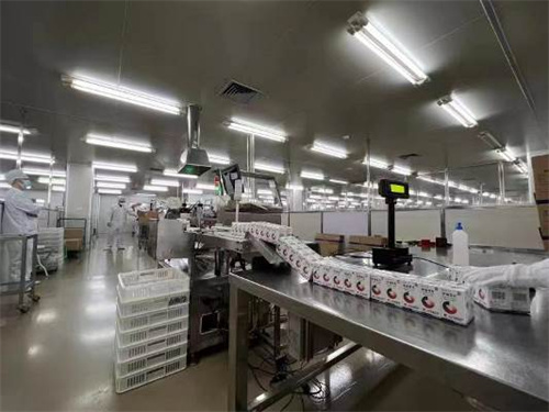 K8凯发(中国)天生赢家一触即发