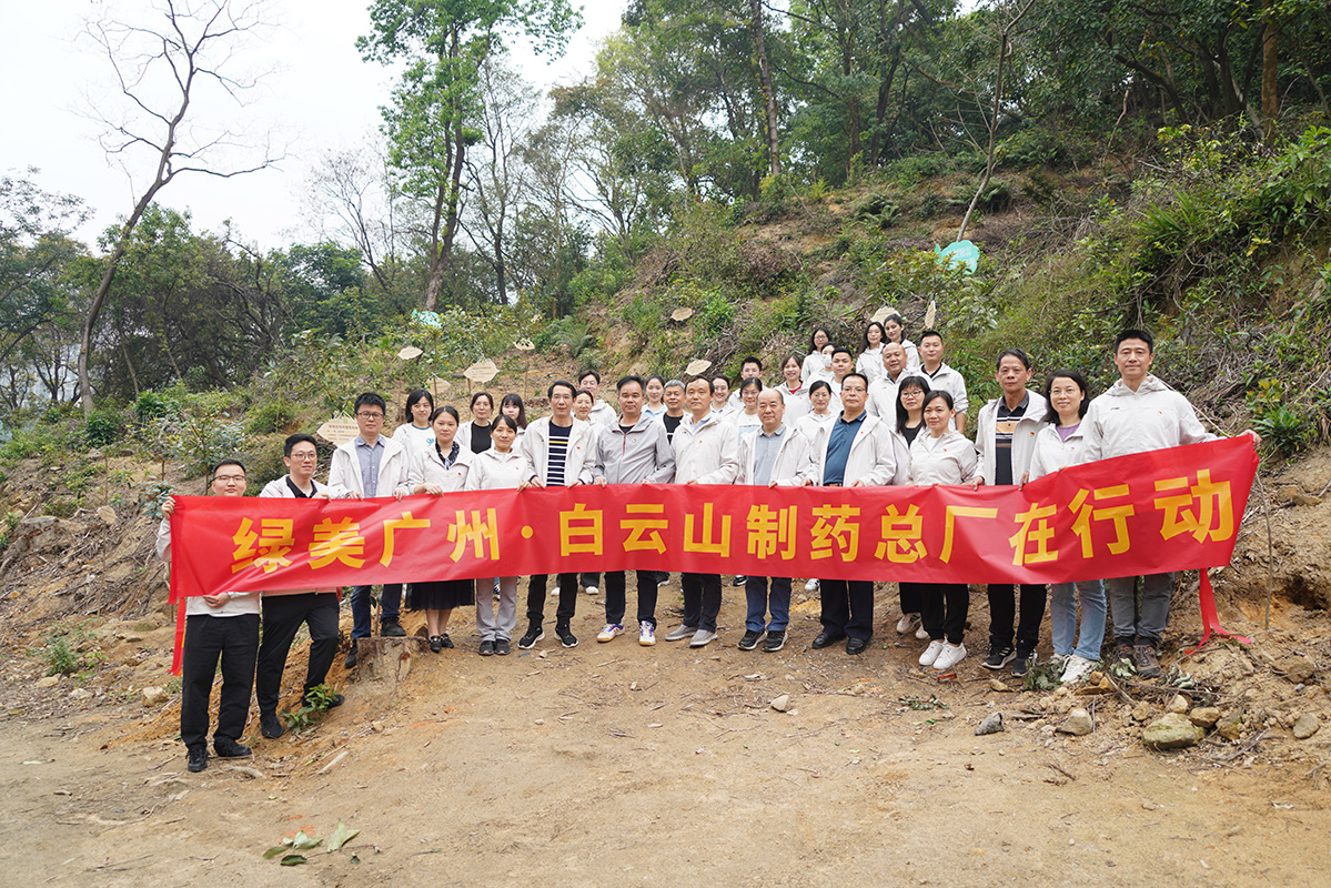 绿美昭通·K8凯发党员在行动
