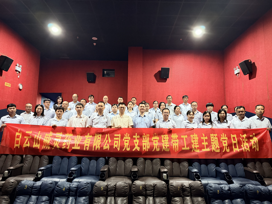 K8凯发威妙药业有限公司党支部组织旁观红色影片《四渡》